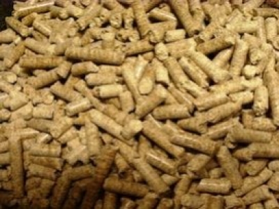 Cette innovation  transforme les algues en pellets de chauffage écologique.